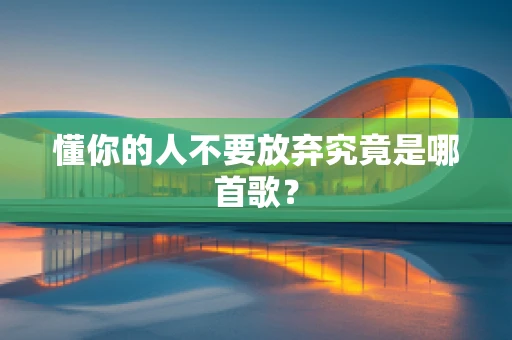 懂你的人不要放弃究竟是哪首歌？