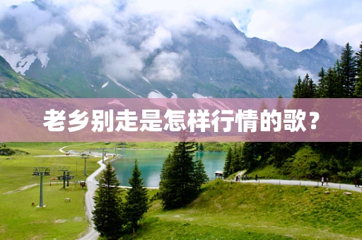 老乡别走是怎样行情的歌？