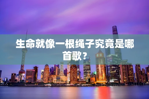 生命就像一根绳子究竟是哪首歌？