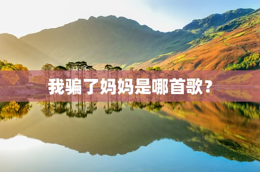 我骗了妈妈是哪首歌？