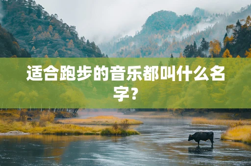 适合跑步的音乐都叫什么名字？