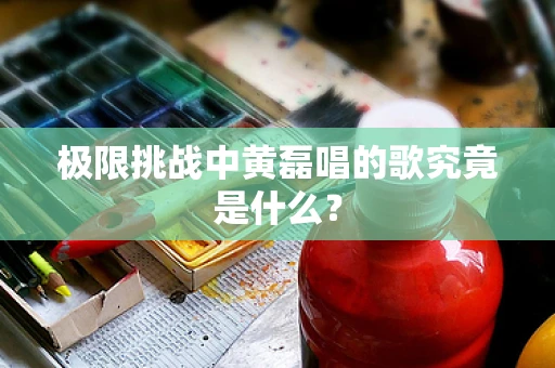 极限挑战中黄磊唱的歌究竟是什么？