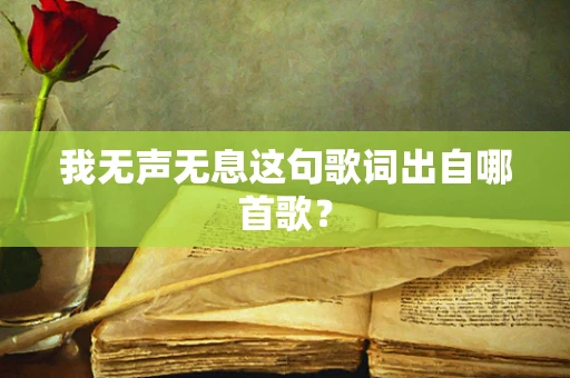 我无声无息这句歌词出自哪首歌？