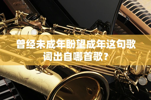 曾经未成年盼望成年这句歌词出自哪首歌？