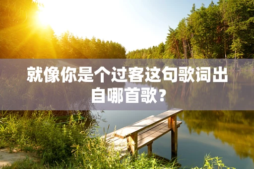 就像你是个过客这句歌词出自哪首歌？
