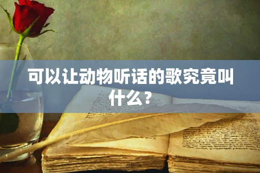 可以让动物听话的歌究竟叫什么？