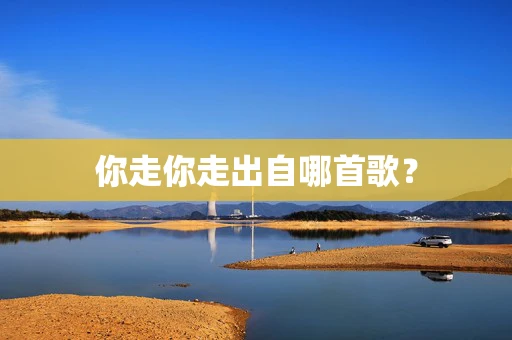 你走你走出自哪首歌？