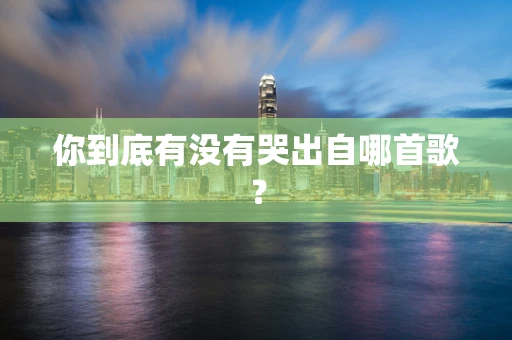 你到底有没有哭出自哪首歌？