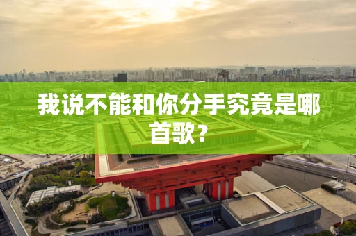 我说不能和你分手究竟是哪首歌？