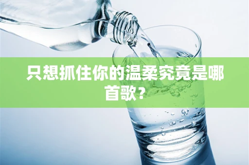 只想抓住你的温柔究竟是哪首歌？