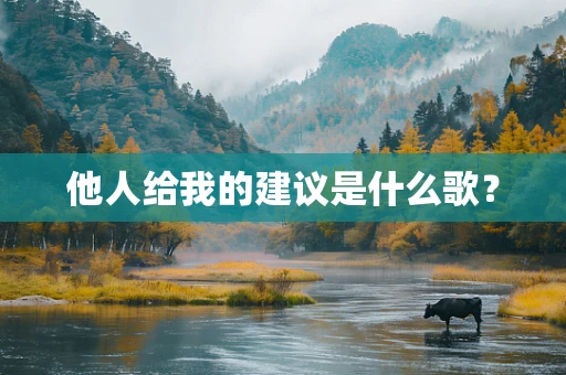 他人给我的建议是什么歌？