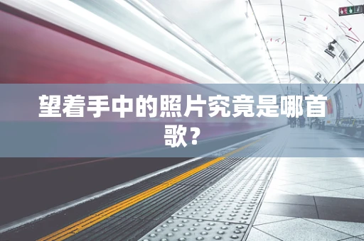 望着手中的照片究竟是哪首歌？