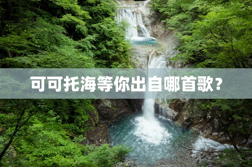 可可托海等你出自哪首歌？