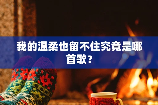 我的温柔也留不住究竟是哪首歌？