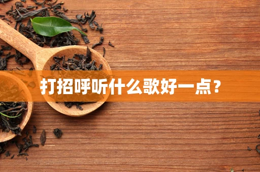 打招呼听什么歌好一点？