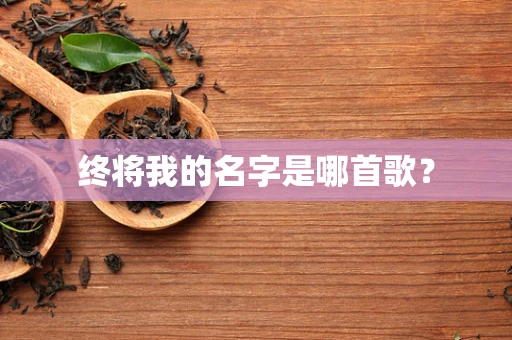 终将我的名字是哪首歌？