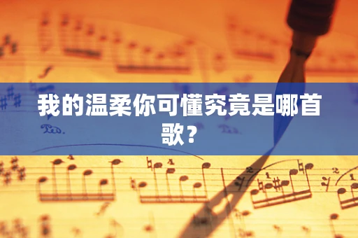 我的温柔你可懂究竟是哪首歌？