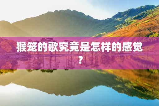 猴笼的歌究竟是怎样的感觉？