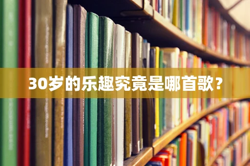 30岁的乐趣究竟是哪首歌？