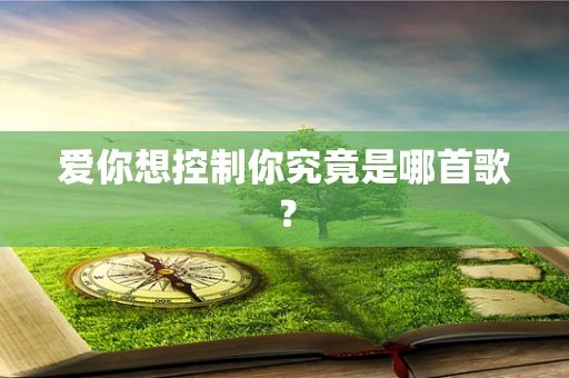 爱你想控制你究竟是哪首歌？