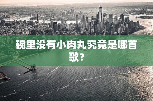 碗里没有小肉丸究竟是哪首歌？