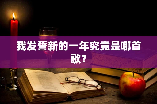我发誓新的一年究竟是哪首歌？