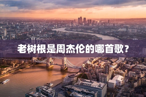 老树根是周杰伦的哪首歌？