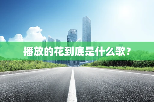 播放的花到底是什么歌？