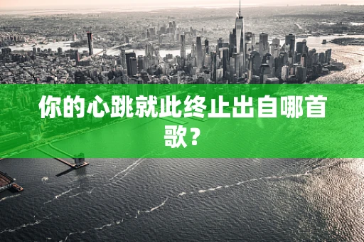 你的心跳就此终止出自哪首歌？