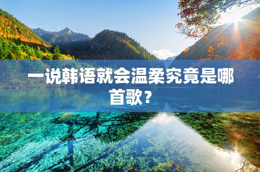 一说韩语就会温柔究竟是哪首歌？