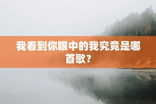 我看到你眼中的我究竟是哪首歌？