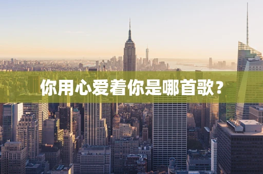 你用心爱着你是哪首歌？