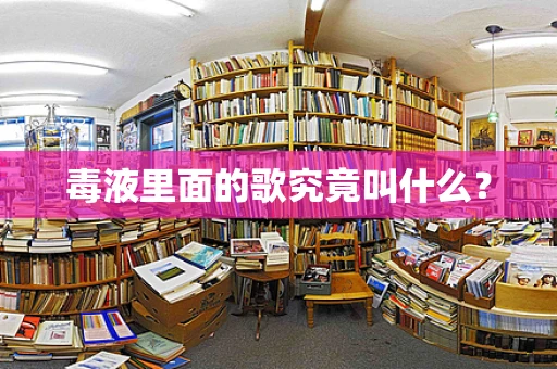 毒液里面的歌究竟叫什么？