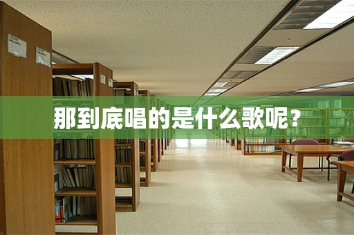 那到底唱的是什么歌呢？