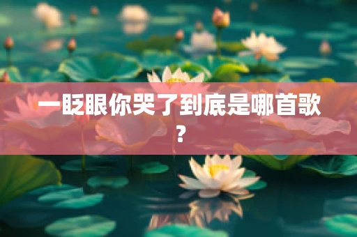 一眨眼你哭了到底是哪首歌？