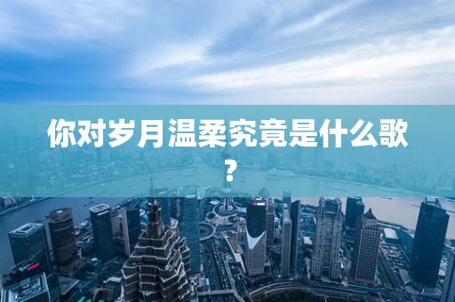 你对岁月温柔究竟是什么歌？