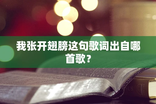 我张开翅膀这句歌词出自哪首歌？