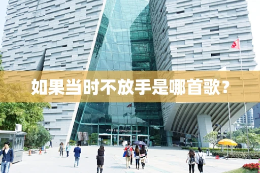 如果当时不放手是哪首歌？
