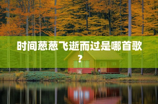 时间葱葱飞逝而过是哪首歌？