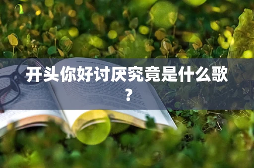 开头你好讨厌究竟是什么歌？