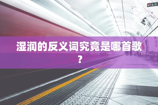 湿润的反义词究竟是哪首歌？