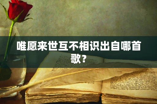 唯愿来世互不相识出自哪首歌？