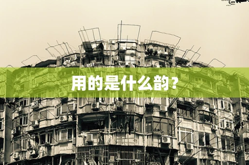 用的是什么韵？
