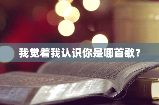 我觉着我认识你是哪首歌？