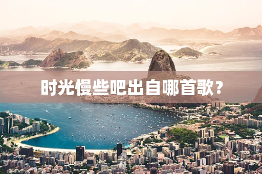时光慢些吧出自哪首歌？