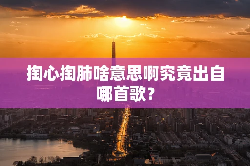 掏心掏肺啥意思啊究竟出自哪首歌？