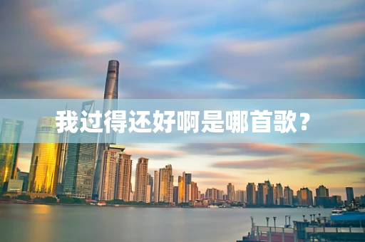 我过得还好啊是哪首歌？
