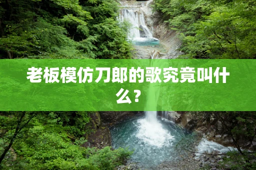 老板模仿刀郎的歌究竟叫什么？