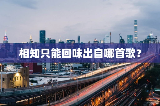 相知只能回味出自哪首歌？