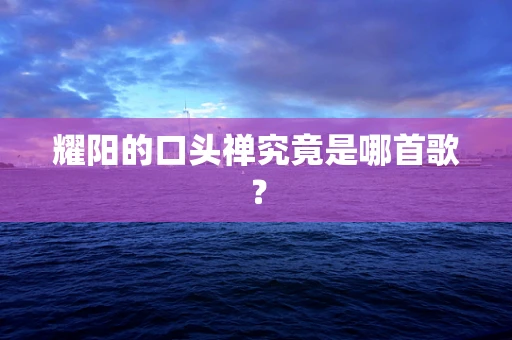 耀阳的口头禅究竟是哪首歌？